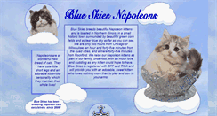 Desktop Screenshot of blueskycats.com