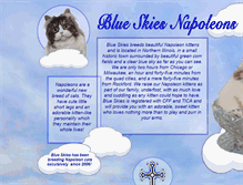 Tablet Screenshot of blueskycats.com